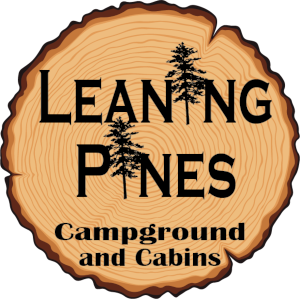 Leaning Pines