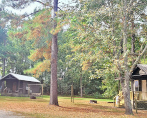 Camp LPC Cabins